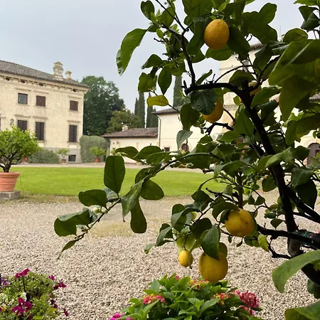 Apartment D'arco Verona