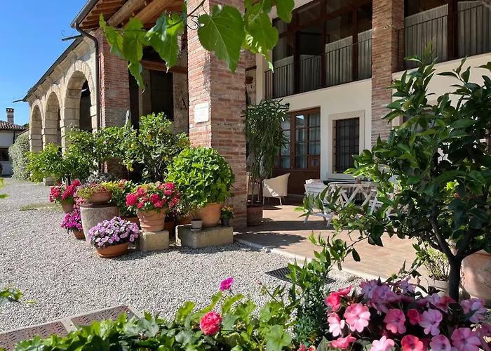 D'arco * فيرونا