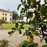 Daire D'arco Verona