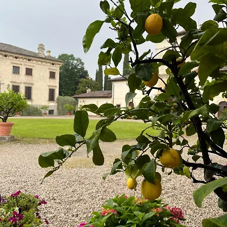 Apartment D'arco Verona