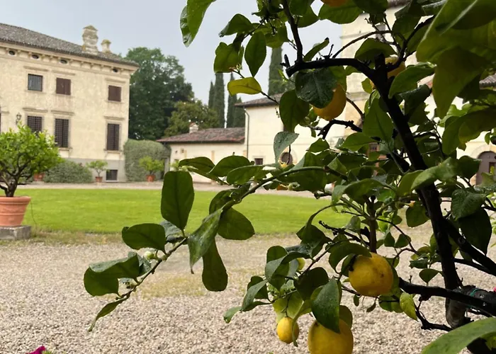Appartement D'arco Verona
